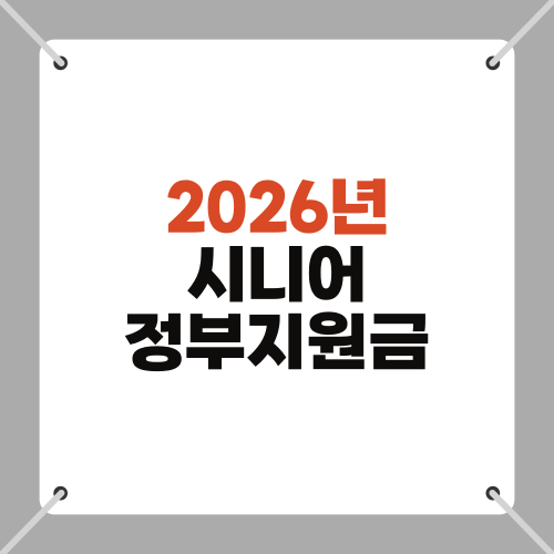 2026년 시니어 정부지원금