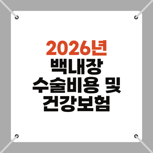2026년 백내장 수술비용 및 건강보험