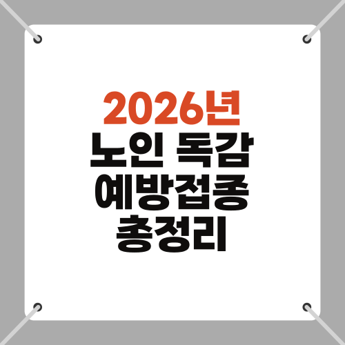 2026년 노인 독감 예방접종 총정리