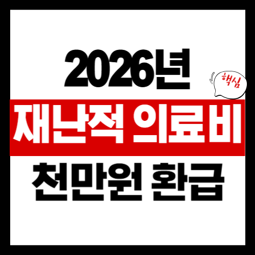 재난적 의료비